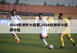 2024欧洲杯小组赛,2024欧洲杯小组赛分组