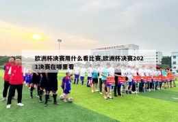 欧洲杯决赛用什么看比赛,欧洲杯决赛2021决赛在哪里看