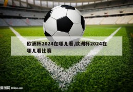 欧洲杯2024在哪儿看,欧洲杯2024在哪儿看比赛