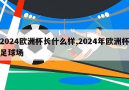 2024欧洲杯长什么样,2024年欧洲杯足球场