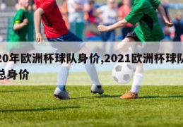 20年欧洲杯球队身价,2021欧洲杯球队总身价