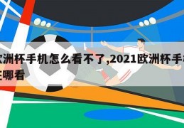 欧洲杯手机怎么看不了,2021欧洲杯手机在哪看