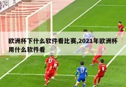 欧洲杯下什么软件看比赛,2021年欧洲杯用什么软件看