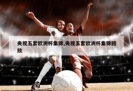 央视五套欧洲杯集锦,央视五套欧洲杯集锦回放