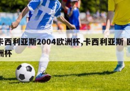 卡西利亚斯2004欧洲杯,卡西利亚斯 欧洲杯