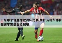 山东哪个台直播欧洲杯比赛,为什么山东体育频道不直播鲁能球赛