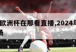 2024欧洲杯在那看直播,2024年欧洲杯球场