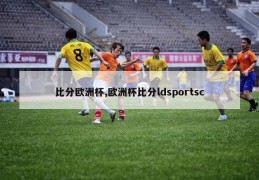 比分欧洲杯,欧洲杯比分ldsportsc