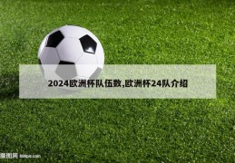 2024欧洲杯队伍数,欧洲杯24队介绍