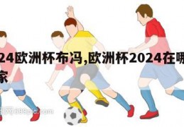 2024欧洲杯布冯,欧洲杯2024在哪个国家