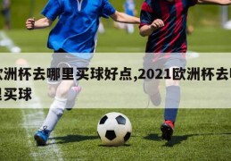 欧洲杯去哪里买球好点,2021欧洲杯去哪里买球