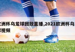 欧洲杯乌龙球回放直播,2021欧洲杯乌龙球视频