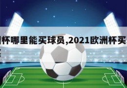 欧洲杯哪里能买球员,2021欧洲杯买球哪里买